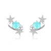 Interstellar Earrings Sterling Silver Female Platinum-plated Earrings Star Earrings