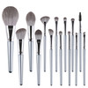 14 in 1  Makeup Brush Set Beauty Tool Brush for Beginners, Exterior color: 14 Makeup Brushes + Golden Tube