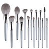 14 in 1  Makeup Brush Set Beauty Tool Brush for Beginners, Exterior color: 14 Makeup Brushes + Silver Bag