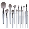 14 in 1  Makeup Brush Set Beauty Tool Brush for Beginners, Exterior color: 14 Makeup Brushes + Green Bag