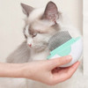 Pet Dual Purpose Long Hair Comb Dual Function Cat Massage Comb to Remove Floating Hair(Mint Green)