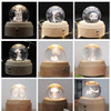 Girl Bedside Lamp Crystal Ball Wooden Base Music Box Charging Glow Rotating Night Light, Random Music(Fallen Little Prince)