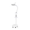 LED Shadowless Floor Lamp Beauty Lamp Touch Screen Nail Pattern Eyebrow, CN Plug(White)