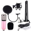 BM-800 Network K-Song Dedicated High-end Metal Shock Mount Microphone Set(Pink)