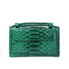 Ladies Snake Texture Print Clutch Bag Long Crossbody Bag With Chain(13# Two-color Green)