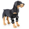 Pet Dog Leg Knee Guard Surgery Injury Protective Cover, Size: M(Anti-glory Model (Black) )