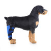 HJ19 Pet Surgery Rehabilitation Back Leg Protector Walking Aids, Size: XS(Blue Right Back Leg)