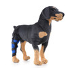 HJ19 Pet Surgery Rehabilitation Back Leg Protector Walking Aids, Size: S(Blue Right Back Leg)