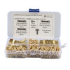 A6299 300 in 1 RV High-bow Double-sided Serrated Hanger Hooks with Self-tapping Screws(Gold)