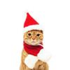 Cat Dog Christmas Hat Around Christmas Clothes Accessories, Size:L
