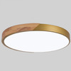 Wood Macaron LED Round Ceiling Lamp, 3-Colors Light, Size:40cm(Gold)