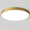 Macaron LED Round Ceiling Lamp, White Light, Size:78cm(Gold)