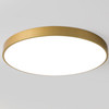 Macaron LED Round Ceiling Lamp, Stepless Dimming, Size:60cm(Gold)