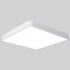 Macaron LED Square Ceiling Lamp, Stepless Dimming, Size:60cm(White)