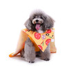 Pet Christmas Clothes Halloween Christmas Pet Funny Clothes, Size: XL(SDZ69 Pizza)