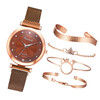 Ladies Magnet Buckle Watch Casual Flower Dial Watch Alloy Mesh Quartz Watch(Brown+Bracelet)