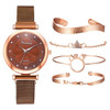 Ladies Magnet Buckle Watch Casual Flower Dial Watch Alloy Mesh Quartz Watch(Brown+Bracelet)