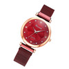 Ladies Magnet Buckle Watch Casual Flower Dial Watch Alloy Mesh Quartz Watch(Red)