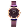 Ladies Magnet Buckle Watch Casual Flower Dial Watch Alloy Mesh Quartz Watch(Purple)