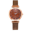 Ladies Magnet Buckle Watch Casual Flower Dial Watch Alloy Mesh Quartz Watch(Brown)