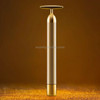 Original Xiaomi Youpin MS3000 inFace Golden Beauty Stick Instrument