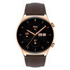 Honor GS 3 Smart Watch, 1.43 inch Screen, Support Heart Rate Monitoring / Bluetooth Call / GPS / NFC (Brown)