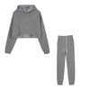 2 in 1 Autumn Winter Plus Velvet Thick Solid Color Cropped Hooded Sweater Set for Ladies (Color:Grey Size:XXL)