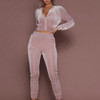 2 in 1 Autumn Ladies Velvet Solid Color Zipper Cropped Sweater Set For Ladies (Color:Pink Size:M)