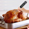 TP300 Instant Read Digital Thermometer Pen-style Long Probe Thermometer