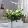 Hydroponics Growing System with LED Grow Light Indoor Garden Starter Kit Plant Germination Kits 2 Plant Pots - UK Plug
