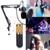 Professional Studio Live Streaming Broadcasting Recording Condenser Microphone Stand Pop Filter Kit