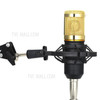 BM800 Suspension Microphone Kit Studio Live Stream Broadcasting Recording Condenser Microphone Set - Style 1/Gold