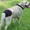 Dogs Teddy Golden Retriever Walking Anti-harassment Pants Pets Supplies - Black//M
