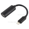 2 in 1 8 Pin Male Adapter to 8 Pin Female Adapter Earphone Charging Connector for iPhone 12 - Black