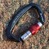 XINDA XD-Q9628 Professional Climbing D-shaped Master Lock Carabiner Safety Buckle Outdoor Climbing Equipment Supplies(Black)