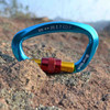 XINDA XD-Q9628 Professional Climbing D-shaped Master Lock Carabiner Safety Buckle Outdoor Climbing Equipment Supplies(Blue)