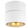 360 Degrees Rotatable Foldable COB LED Background Spot Light Surface Mounted Ceiling Lamp, Wattage:10W, Emitting Color:Warm White(White Gold)