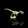 Creative DIY Excavation Archeological Dinosaur Toy Fossil Puzzle Children Handmade Dinosaur Skeleton Model(Raptor)