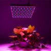 10W 380LM Hydroponic Plant Grow Light, 225 LED, Low Power, Red and Blue Light, AC 85-265V