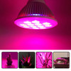 E27 PAR38 12W Red Light + Blue Light LED Plant Growth Light, 12 LEDs Greenhouse Light Aquarium Light, AC 100-240V