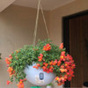 Hanging Plastic Flower Pots Hanging Pots Flower Pot With Hanging Chain, Large Size:26.6 x 18cm, Random Color Delivery