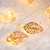 3m Rose Gold Leaf USB Plug Romantic LED String Holiday Light, 20 LEDs Teenage Style Warm Fairy Decorative Lamp for Christmas, Wedding, Bedroom (Warm White)