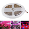 5m SMD 5050 5:1 Red + Blue LED Plant Grows Lamp, 300 LEDs Aquarium Greenhouse Hydroponic Bare Board Rope Light, 60 LEDs/m, DC 12V