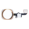 Home Button Flex Cable for iPhone 6 & 6 Plus, Not Supporting Fingerprint Identification(Gold)