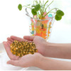 1000 PCS Home Decor Pearl Shaped Crystal Soil Water Beads Bio Gel Ball For Flower/Weeding Mud Grow Magic Jelly Balls(Orange)