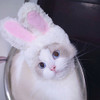 Lovely Rabbit Ear Cat Pet Headgear Headwear, Size: One size