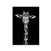 Simple Black and White Animal Decoration Painting Study Living Room Sofa Background Wall Painting Without Frame, Size:50X70cm(Giraffe)