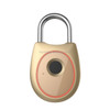 Portable Smart Fingerprint Lock Electric Biometric Door Lock USB Rechargeable IP65 Waterproof Home Door Luggage Case Lock Bluetooth Electronic Lock(Champagne Gold)