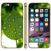 Dewdrop and Leaf Pattern Mobile Phone Decal Stickers for iPhone 6 & 6S