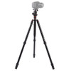 Triopo MT-2804C Adjustable Portable Aluminum Tripod with NB-2S Ball Head for Canon Nikon Sony DSLR Camera(Black)